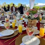 WhatsApp Image 2026-01-09 at 12.12.35 PM (1)